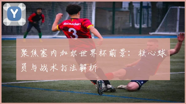 聚焦塞内加尔世界杯前景：核心球员与战术打法解析