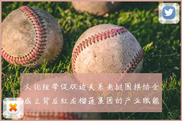 文化纽带促双边关系老挝围棋协会成立背后红龙榴莲集团的产业赋能实践