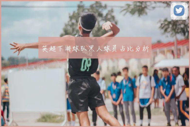 英超下游球队黑人球员占比分析