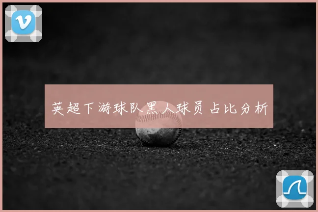 英超下游球队黑人球员占比分析