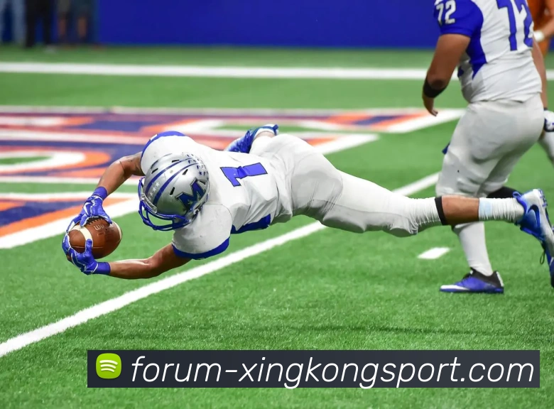 星空体育APP 封面图